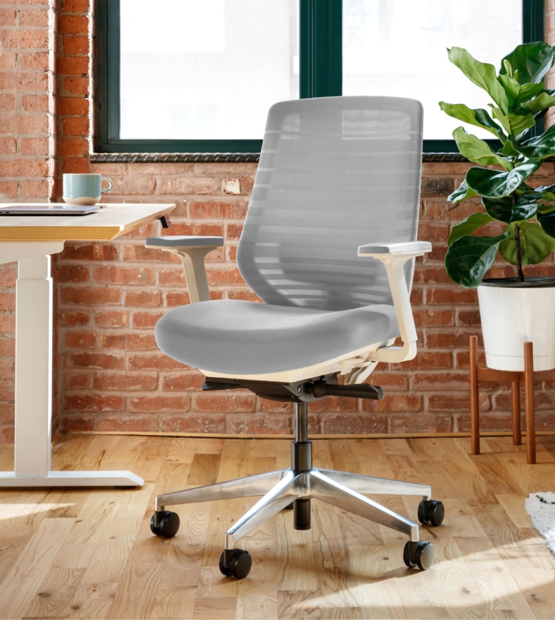 Ahmednagar Ergonomic Chair