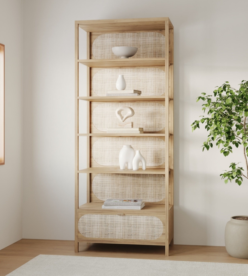 Raipur Bookcase