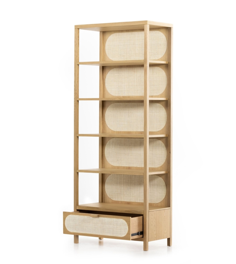 Raipur Bookcase